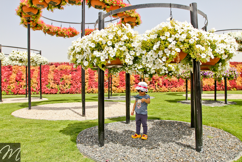 Dubai Miracle Garden