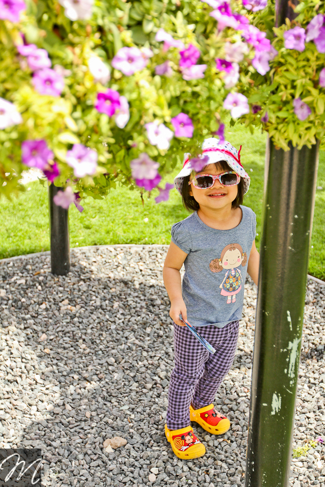 Dubai Miracle Garden