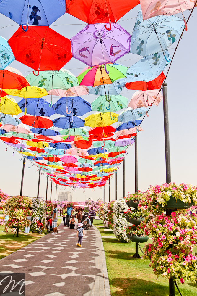 Dubai Miracle Garden