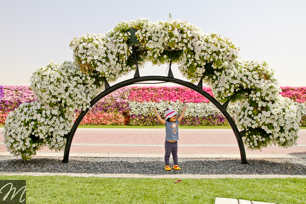 Dubai Miracle Garden