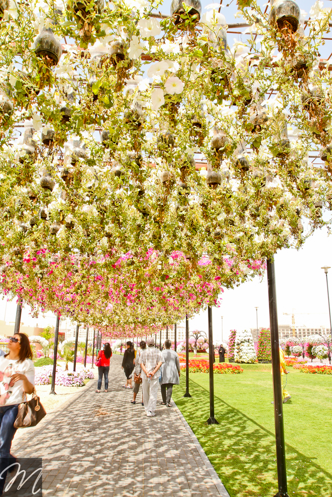 Dubai Miracle Garden