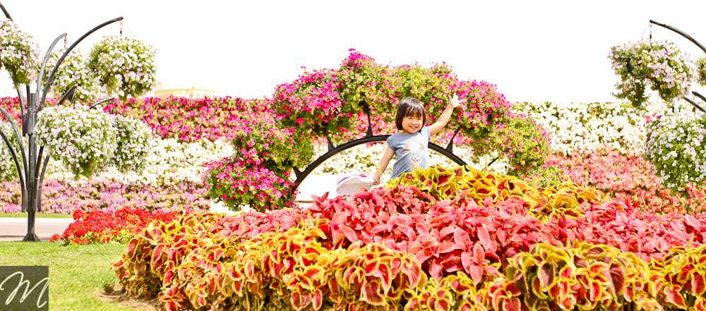 Dubai Miracle Garden