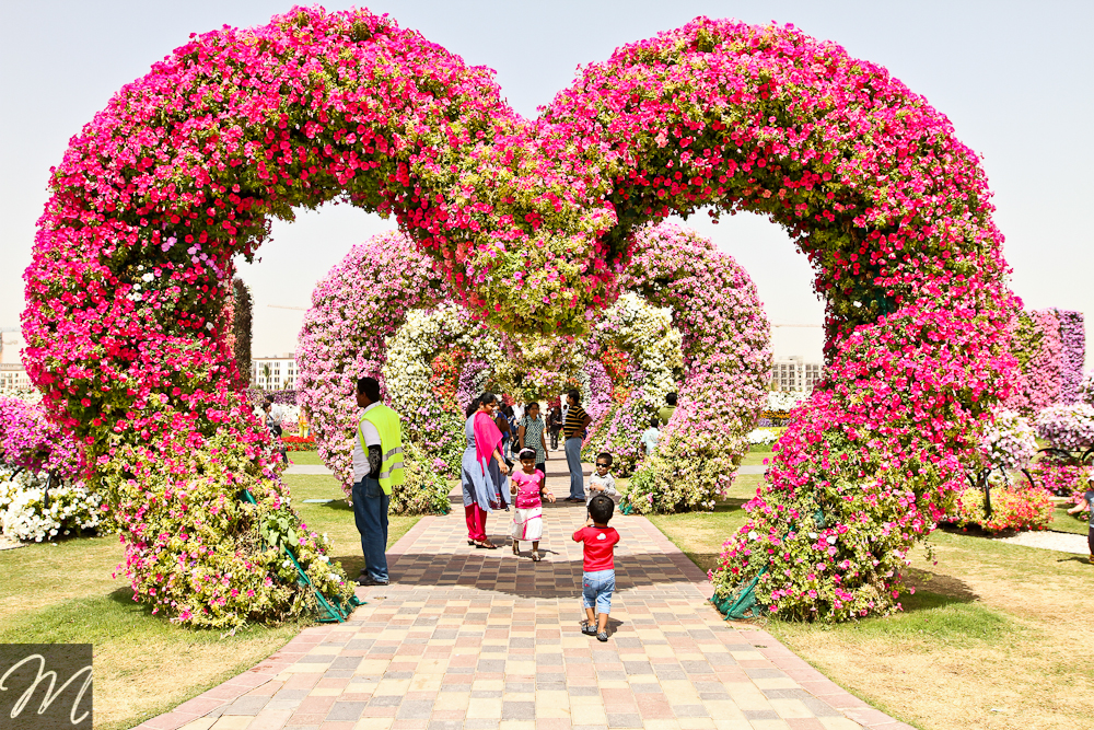 Dubai Miracle Garden