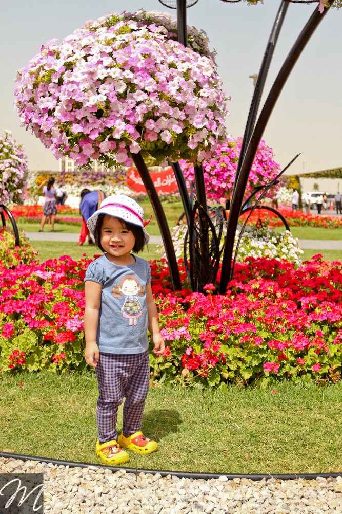 Dubai Miracle Garden