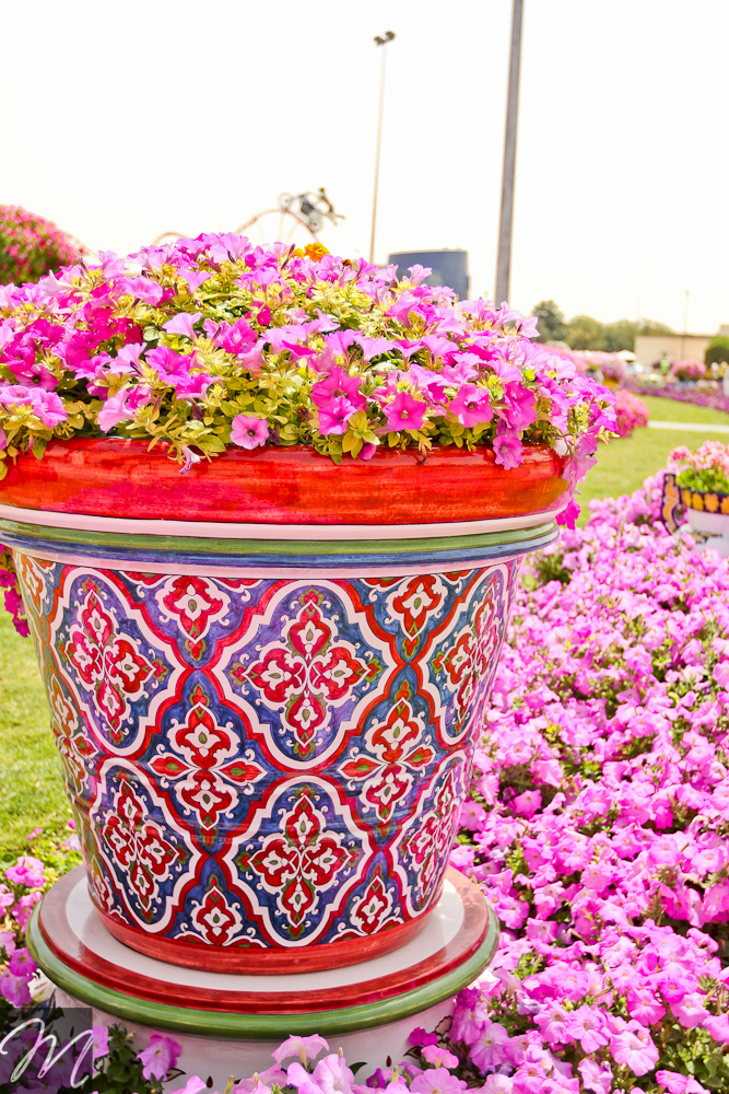 Dubai Miracle Garden