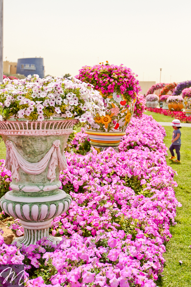 Dubai Miracle Garden