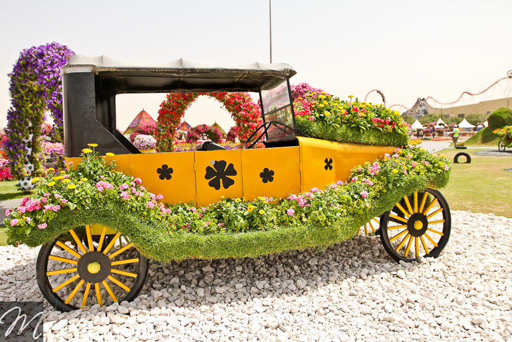 Dubai Miracle Garden