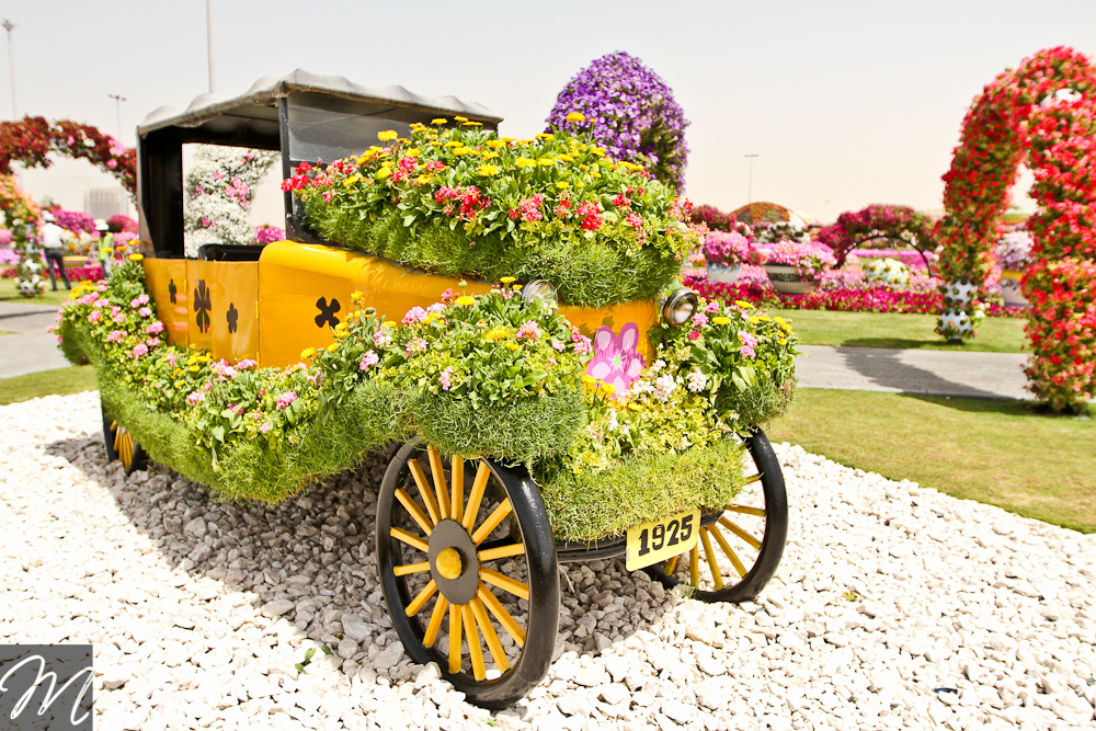 Dubai Miracle Garden