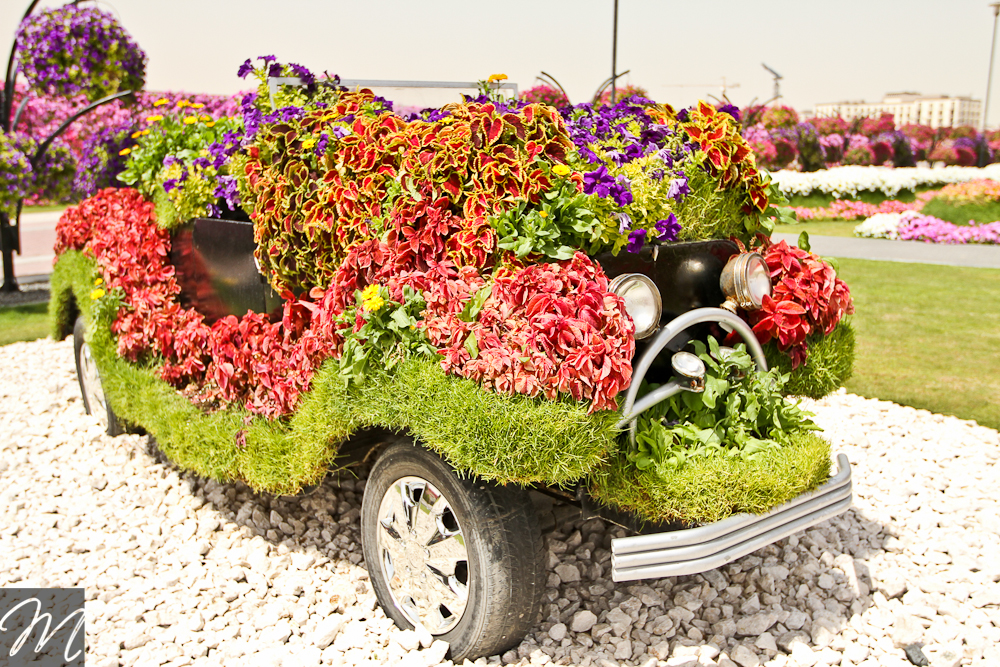 Dubai Miracle Garden