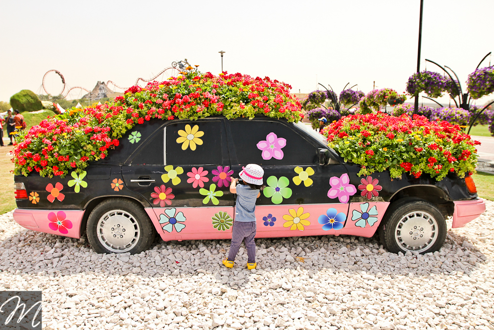 Dubai Miracle Garden