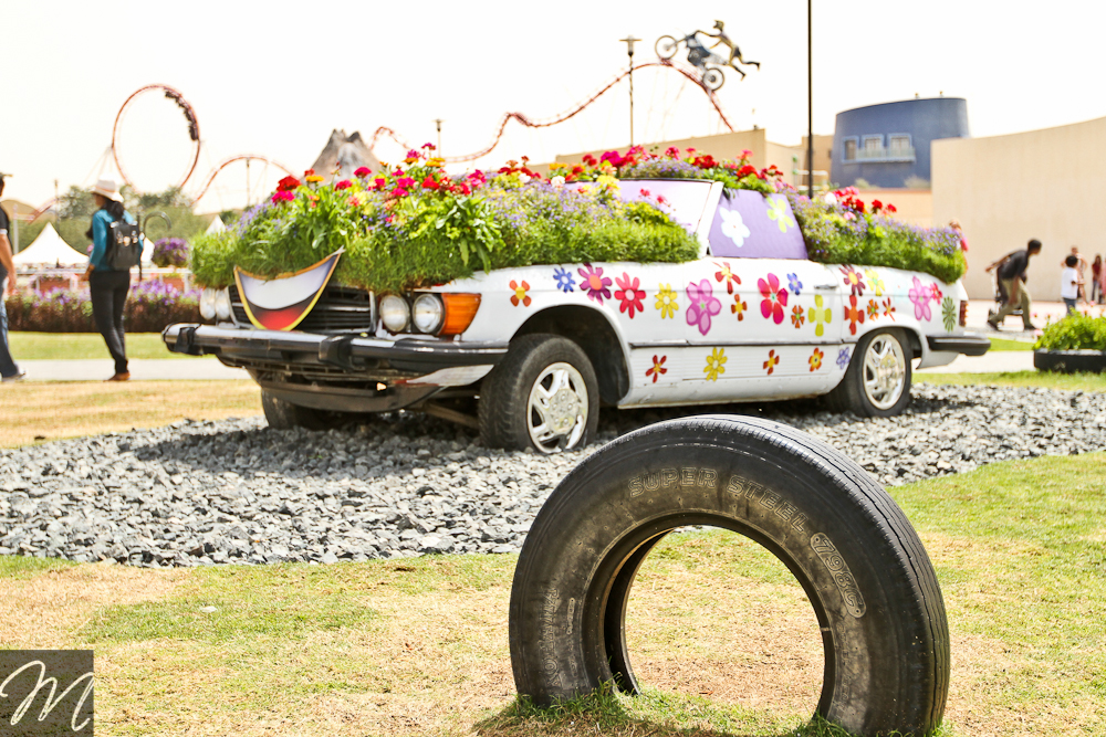 Dubai Miracle Garden