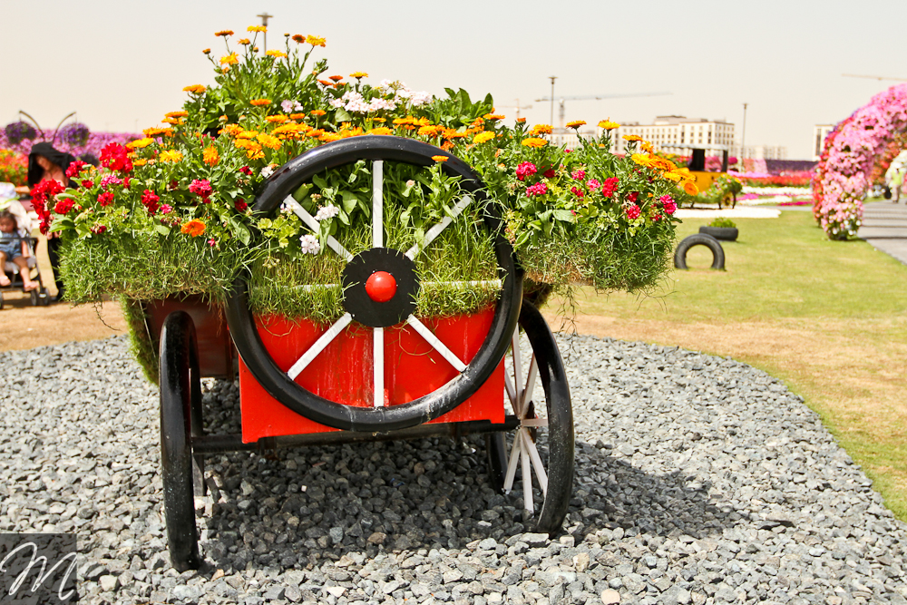 Dubai Miracle Garden